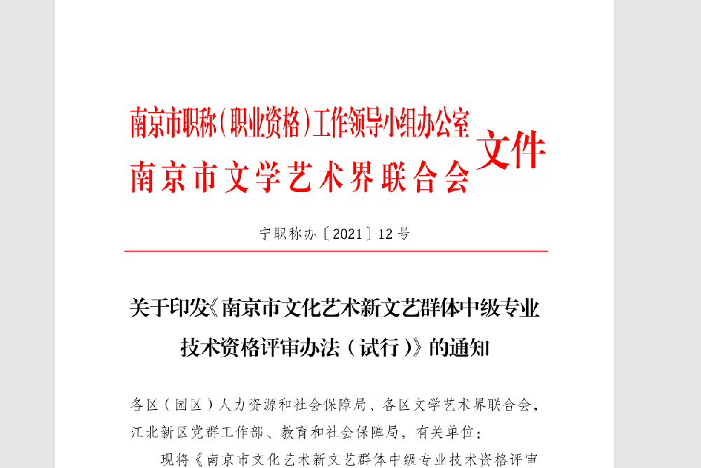 关于印发《南京市文化艺术新文艺群体中级专业 技术资格评审办法（试行）》的通知